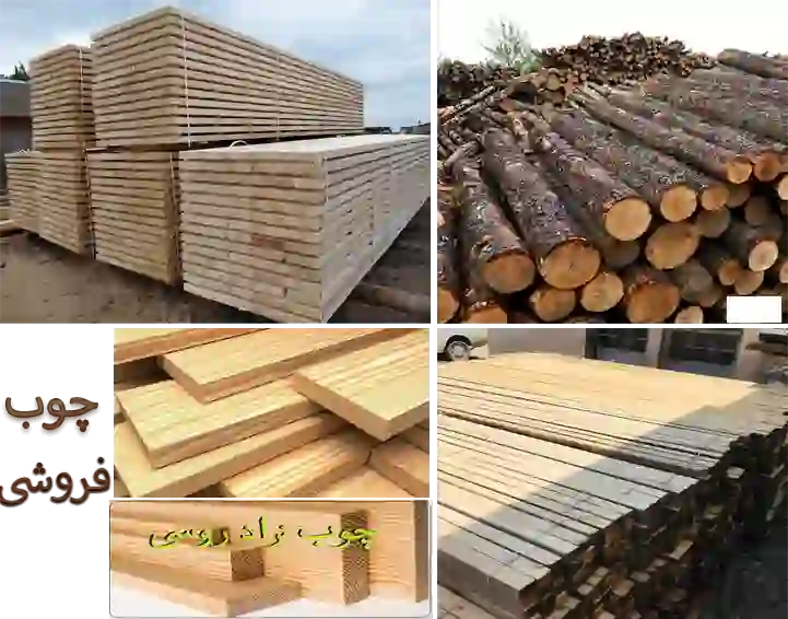 فروش چوب بائو